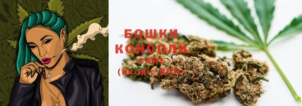 мет Инсар