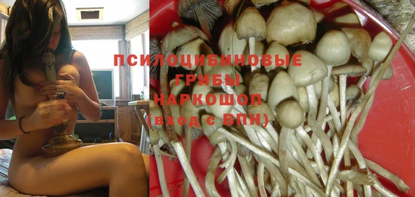 мет Инсар