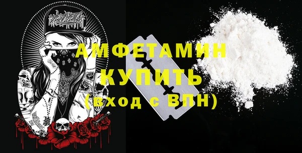 мет Инсар